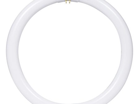 Sunlite FC12T9 32w G10q T9 4-Pin Circline 3000K Warm White Ceiling Light Bulb on Sale