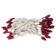 Vickerman 50Lt LED Magenta White Wire C6 EC Set 6-in Sp 25 ft Long Online now