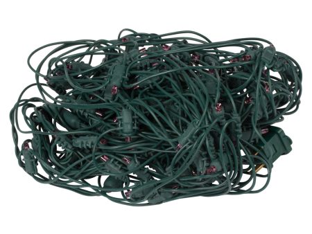 Vickerman 120Lt 4x6 ft LED Purple Green Wire Wide Angle Twinkle Net For Sale