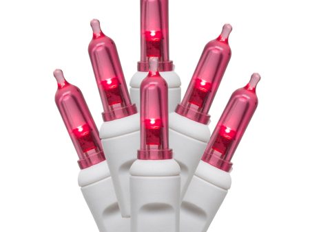 Vickerman 50Lt LED Magenta White Wire Italian EC 6-in Sp 25 ft Long Online Hot Sale