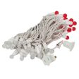 Vickerman 50Lt LED Red-Warm White White Wire G12 EC Set 6-in Sp 25 ft Long For Sale