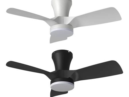 32  Kiwi DC Ceiling Fan White, Black with Light 5507062, 5507063 Vencha Lighting on Sale