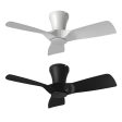 32  Kiwi DC Ceiling Fan White, Black 5507060, 5507061 Vencha Lighting Discount