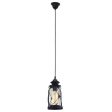 Bradford Pendant Light in Black or Antique Silver Online Hot Sale