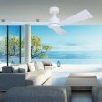 52  Bronte DC Ceiling Fan White, Black, White Oak, Black Walnut with Light Vencha Lighting For Cheap